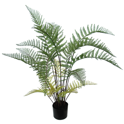 Fern Tree w pot 100 cm Green 5572GRN